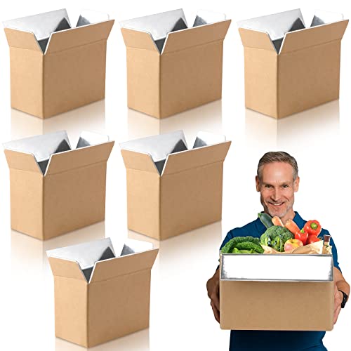 6 Pack Insulated Shipping Box for Shipping Frozen Food Cold Shipping Boxes Large Foil Cooler Carton Moving Kits for Mailing Packing(10.6 x 6.1 x 7.9 Inch)