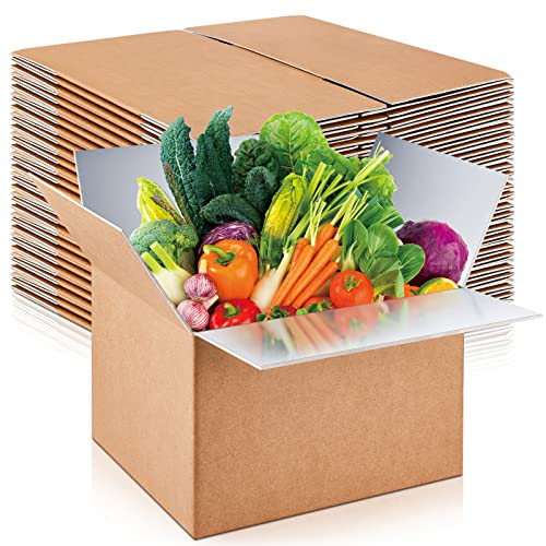 20 Pcs Insulated Shipping Box for Shipping Frozen Food 12" x 10" x 8" Cold Shipping Boxes Cooler Box Aluminum Moving Box Mailing Carton for Fresh Seafood Milk Meat Delivery Packaging (Kraft Color)