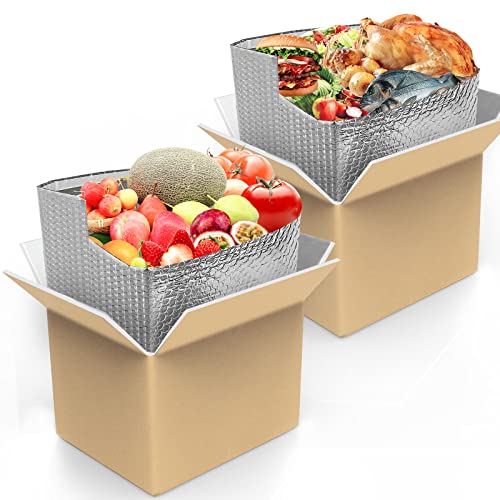 XCLBTFDC 2 Sets Insulated Shipping Boxes with Aluminum Foil Insulated Liner, Styrofoam Cold Delivery Carton Large Cooler Boxes with Thermal Bag Liners for Shipping Frozen Food, Moving, Mailing (14"X 11.5"X 9.6")