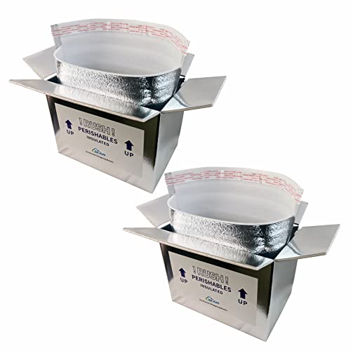 WE 4Life Double Aluminum Thermal Insulated Shipping Box with Foil Liner Bag - Cold Shipping Box for Frozen Food - Insulated Cooler Box for Shipping Perishables (Small Size 9.8"x 5.8"x 7.8"- 2 Packs)