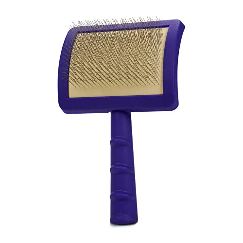 Jelly Pet Universal Slicker Brush for Dogs, Remove Tangles and Dead Undercoat, Doodle Huskie Sheep Dog Golden Retriever German Shepherd, Soft Pins, Purple, Large