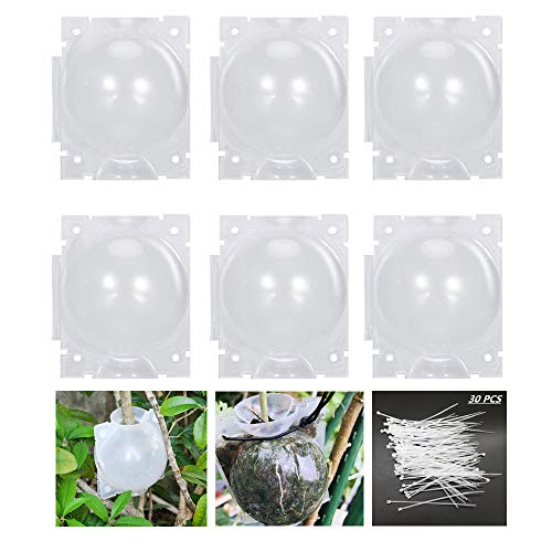 HAIZHINA Air Layering pods, Reusable Plant Rooting Device Plant Rooting Grow Box High Pressure Propagation Ball Grafting Device Botany Root Controller Garden Plant Rooter Box (26PCS), Transparent