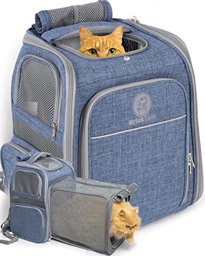 Expandable Breathable Cat Backpack Carrier Designed for Comfy Long Walks - from Kitty to Medium-Size cat, Small Dog, Puppy, Other Small pet up to 15lbs - Cat Travel Backpack BT-01-2
