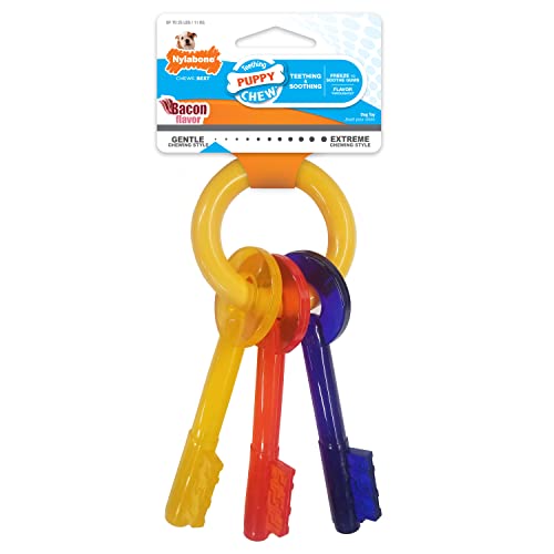 Nylabone Just for Puppies Teething Chew Toy Keys Bacon Small/Regular (1 Count)