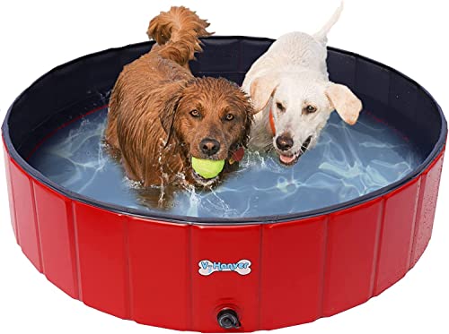 V-HANVER Foldable Dog Pool Hard Plastic Collapsible Pet Bath Tub for Puppy Small Dogs Cats and Kids, 39.5 X 12 inch