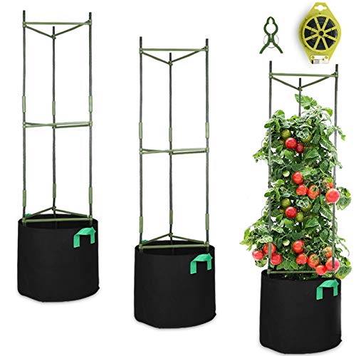 GROWNEER 3 Packs Plant Cages Assembled Tomato Garden Cages Stakes Vegetable Trellis, with 3Pcs 10 Gallon Grow Bags, 9Pcs Clips and 328Ft Twist Tie, for Vertical Climbing Plants