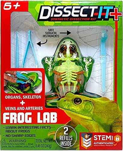 Dissect-It+ Froggy Plus Upgraded Deluxe Lab Dissection Toy, Realistic Experience Without Use of Real Frog! No Odor, Kids STEM Projects, Animal Science, Biology, Anatomy Home Learning Kit