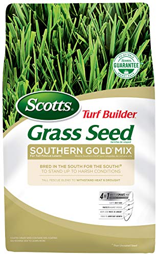 Scotts Turf Builder Southern Gold Mix for Tall Fescue Lawns Stands up to Harsh Conditions, Withstands Heat, Drought, 3 lbs.