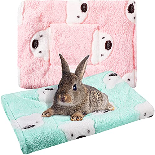 Jetec 2 Pieces Guinea Pig Bed Rabbit Bed Small Animal Hamster Warm Mats Winter Warm for Bunny Hamster Squirrel Hedgehog Chinchilla Small Animal Accessories(Green, Pink,Bear Pattern)