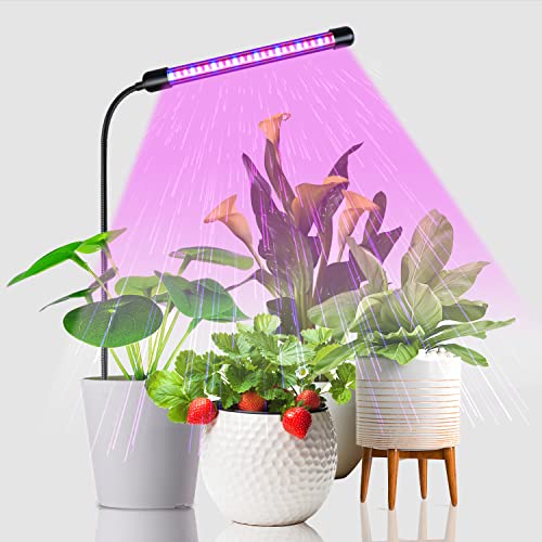 Juhefa Grow Light for Indoor Plants Growing, Red Blue Full Spectrum Gooseneck Sunlight Plant Lamp for Seedings Succulents Small Plants, Timer Function with 5-Level Brightness