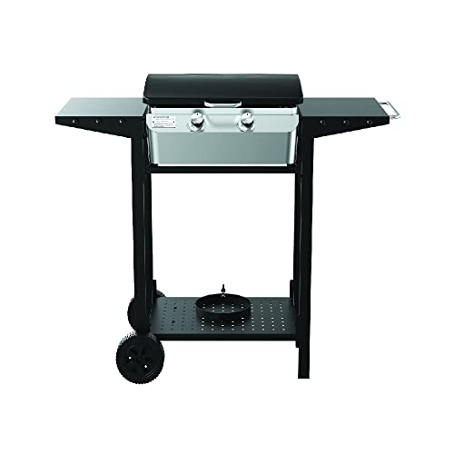 Nexgrill Outdoor Cooking 2 Burner Propane Griddle Grill, 21.65" x 15" 323sq.in Portable Gas Griddle grill, Flat Top for Camping, Patio, Cart with Wheel, Side Shelves with Hooks, Black and Silver