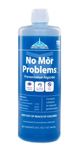 No Mor Problems Swimming Pool Algaecide - 1 Quart