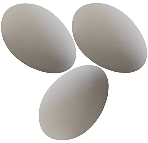 Rite Farm Products 3 Pack White Ceramic Dummy Goose Duck Nesting NEST Training Egg Hatching Craft