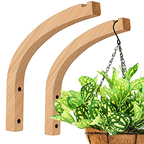 FGSAEOR Plant Hanger, Wall Planters for Indoor Plants, Wooden Wall Mounted Hanging Plant Hooks, Basket Hooks for Lanterns, Flower Bracket, Wind Chimes, Decoration (2-Pack,8-Inch)