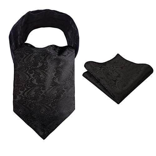 Alizeal Men's Paisley Ascot Tie Cravat Satin Self Tie and Handkerchief Set(Black)