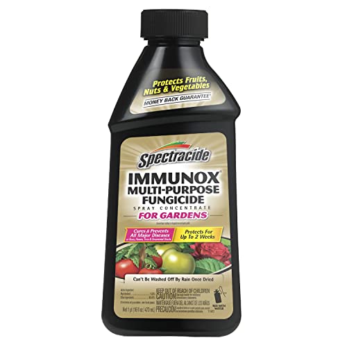 Spectracide Immunox Multi-Purpose Fungicide Spray Concentrate For Gardens 16 Ounces, Protects Up To 2 Weeks