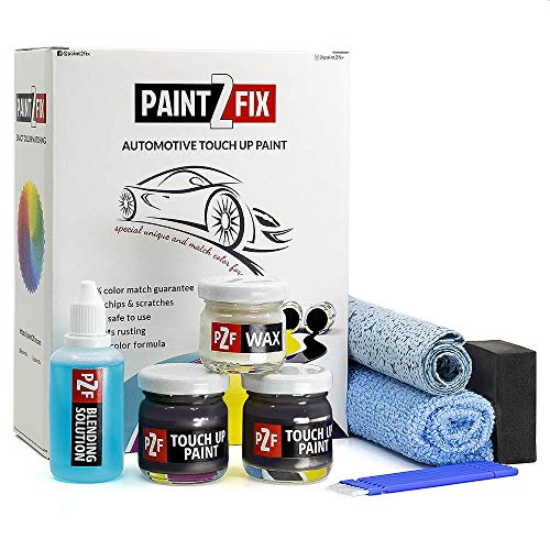 Touch Up Paint for Honda - Graphite NH658P / A/C/G | Carbon Gray | Scratch and Chip Repair Kit - 25ml Small Size