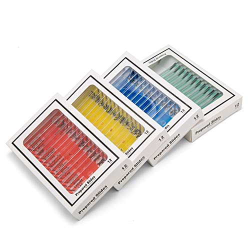 48pcs Kids Plastic Prepared Microscope Slides of Animals Insects Plants Flowers Sample Specimens for Microscopes