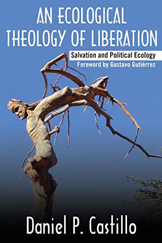 An Ecological Theology of Liberation: Salvation and Political Ecology (Ecology and Justice)