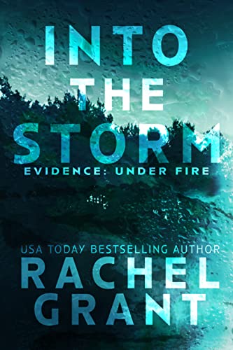 Into the Storm (Evidence: Under Fire Book 1)