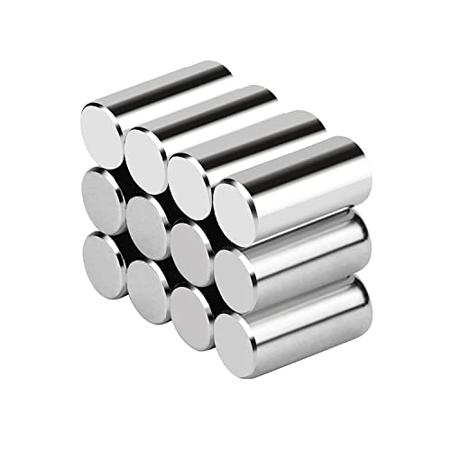 Realth Magnetic Cylinder Dia. 1/4" x 1/2" Length Neodymium Permanent Rare Earth Circular Magnets Rod 12 Pack (MC607)