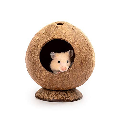 andwe Coconut Hut Hamster House Bed for Gerbils Mice Small Animal Cage Habitat Decor