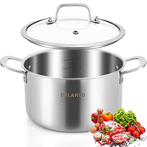 DELARLO Tri-ply Stainless Steel StockPot 5QT, Induction Cooking Pot 18/8 Stockpots Food Grade, Durable Soup Pot Stew Simmering Pot with Glass Lid Suitable for All stoves, Dishwasher-Safe