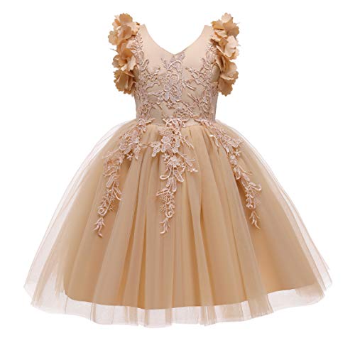 Weileenice Flower Girl Party Dresses Rose Gold Kids Wedding Birthday Pageant Daddy Daughter Dance Celebration Prom Ballgown Kid Fancy Tulle Dress Holiday 4 5 Toddler Formal Pageant Ball Gowns New Year