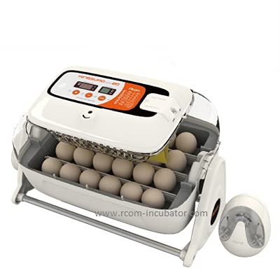 Rcom R-com King Suro 20 Fully Automatic Digital Egg Incubator with Warranty and Bonus Candler
