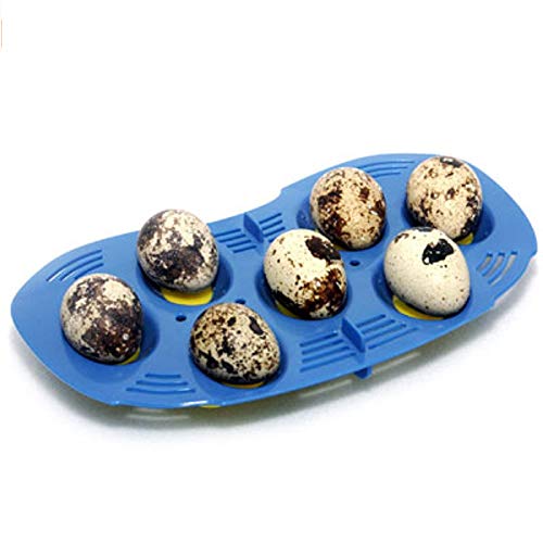 R-Com RCOM Mini 7 Quail Egg Tray for Mini incubators