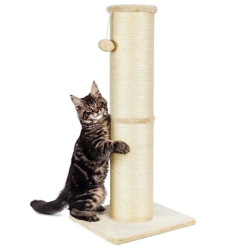 PAWSCRAT Cat Scratching Post 32 Inch High, 5.5 Inch Large Diameter Natural Sisal Cat Scratch Post, Scratch-Resistant and Durable Tall Cat Scratcher for Indoor Cats, Protect Your Furniture, Beige
