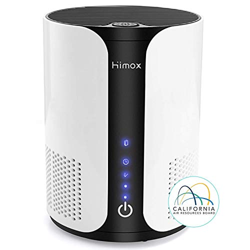 HIMOX HEPA Air Purifiers for Bedroom Allergies Pet Hair, H13 true HEPA Filter Activated Carbon Quiet Portable Air Cleaner for Desk Desktop Office Dorm, Remove 99.97% Smoke Dust Dander Odor Mold Pollen