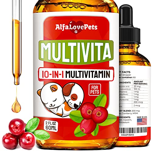 10 In 1 Cat & Dog Multivitamin - Hip & Joint Vitamins For Dogs + Vitamins C, D, B1-12 - Cranberry Supplement For Dogs & Cat Vitamins - Bladder, Kidney, Skin, Joint Support - Glucosamine Dog Supplement