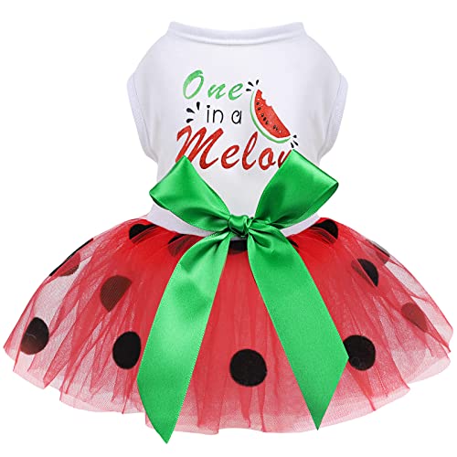 Dog Dress for Small Medium Dogs Girl Watermelon Polka Dots Mesh Dress Dog Outfit, Summer Tutu Dog Dresses Cat Apparel, Cute Pet Puppy Clothing Doggie Outfits, Red, Medium