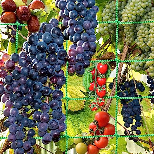 Plant Trellis Netting for Climbing Plants Outdoor Heavy-Duty Growing Net Garden Trellis Netting for Vine Plants, Fruits, and Flowers, Vegetables Trellis Netting Plant Climbing Plant Support(2.9x5.9FT)