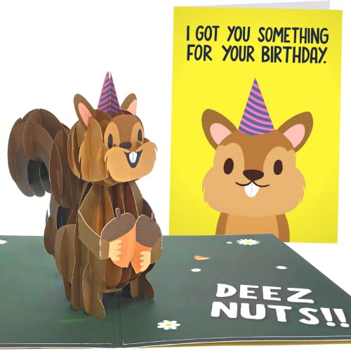 Sleazy Greetings Squirrel Pop Up Birthday Card | Funny Birthday Card for Men Women | Squirrel 3D Greeting Cards 5x7 Inch