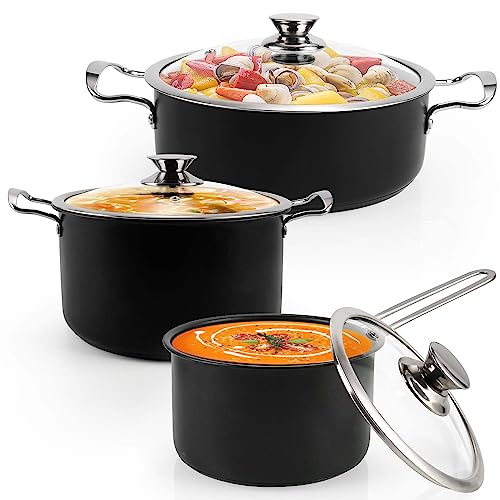 Induction Pots and Pans, Stainless Steel cookeware set 6pcs With Lid, Induction Cookware For Oven & Dishwasher Safe