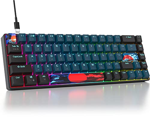 Ussixchare 65 Percent Mechanical Gaming Keyboard 68 Keys RGB Gaming Keyboard with Red Switch Wired Keyboard for Windows Mac PS4/5 Xbox Gamers(68 Monster)