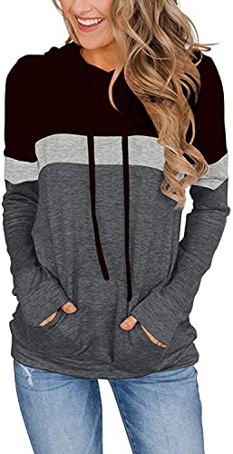 Lylinan Womens Tops 2023 Ladies Tunics Long Sleeve Hoodies Pullover Fall Sweatshirts Trendy Casual Shirts Loose Fitting Tee Fashion Style Clothing Black Grey Medium