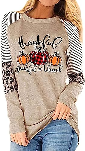 Vircreate Womens Long Sleeve Halloween Shirt Hocus Pocus Shirts Thanksgiving Pumpkin Leopard Stripe Graphic Fall Tops (M,2 Apricot)