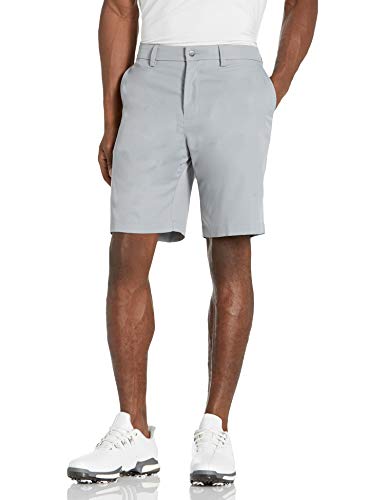 Pro Spin 3.0 Performance 10" Golf Shorts with Active Waistband (Size 30 - 44 Big & Tall), Sleet, 36