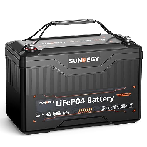 Sundegy 12V 100Ah LiFePO4 Battery with Bult-in BMS, Up to 8000 Deep Cycle lithium battery, Perfect for RV, Marine, Off-Grid, Camping, Home Energy Storage