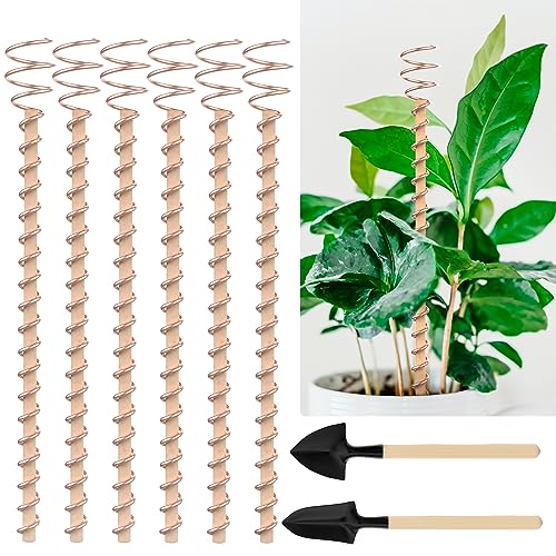 Electroculture Plant Stakes, 6 Pack 11.5" Electroculture Gardening Copper Coil Antennas for Growing Garden, Plants and Vegetables, High-Yield, Eco-Friendly, Growing Healthy and Fast