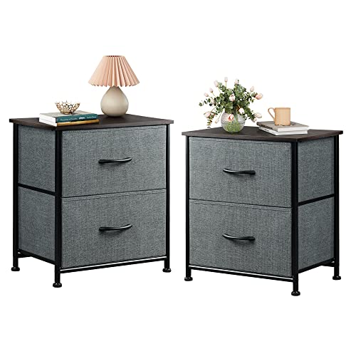 WLIVE Nightstand Set of 2, 2 Drawer Dresser for Bedroom, Small Dresser with 2 Drawers, Bedside Furniture, Night Stand, End Table with Fabric Bins for Bedroom, Closet, College Dorm, Dark Grey