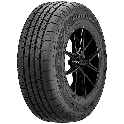 Fortune FSR602 225/55R18 98V BSW