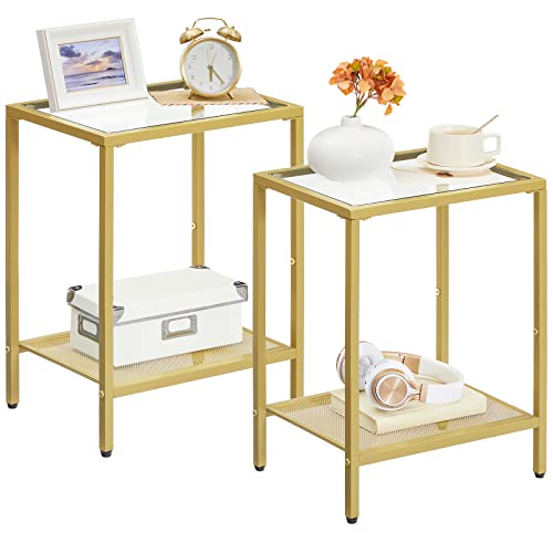 MAHANCRIS End Tables Set of 2, Side Table with Tempered Glass Top, Narrow Beside Table for Small Space, 2-Tier Nightstand with Storage Shelf, for Sofa Couch and Bed, Easy Assembly, Gold ETJ24B01S2Z1