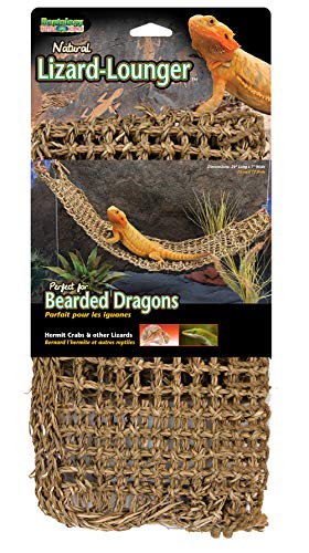 PENN-PLAX Reptology Lizard Lounger  100% Natural Seagrass Fiber  Great for Bearded Dragons, Anoles, Geckos, and Other Reptiles  Extra Large