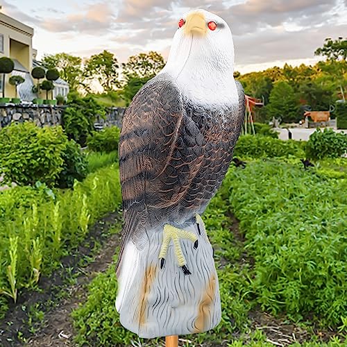 Owl Decoys to Scare Birds Squirrels Away,Garden Hawk Decoy to Scare Birds Away Deterrent,2023 Upgraded Fake Bald Eagle Decoy,Eagle Bird Deterrent Devices Outdoor,Moving Owls for Garden Yard