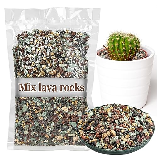 Sukh 3LBS Horticultural Succulent Rocks Bonsai Mix Succulent Potting Mix Lava Rocks Cactus Soil Potting Mix Amendment.