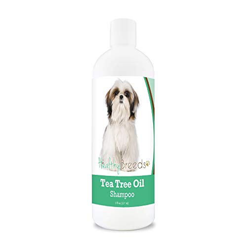 Healthy Breeds Shih Tzu Tea Tree Oil Shampoo  Formulated for Dry, Irritated Skin  Reduce Dandruff  Wintergreen Scent  8 oz